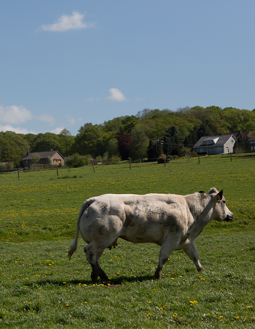 viande-exception